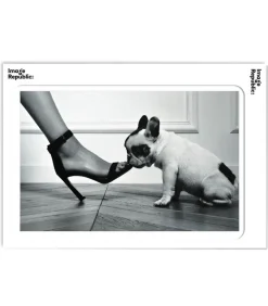 Affiche La Galerie Jane De Boy Raoul 40 X 50 Cm