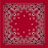 Bandana Red