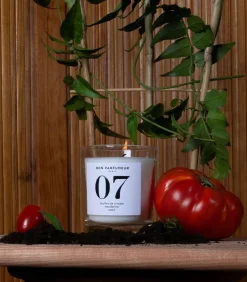 Bougie Parfumee 07 Feuilles De Tomate, Mandarine Et Cassis