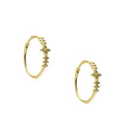 Creoles Darling Flower