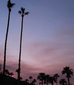 Eau De Toilette #27 Do What You Love 50Ml