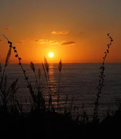 Eau De Toilette #24 Play Again Now 50Ml