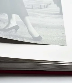 Livre Louis Vuitton Windows (Ultimate Edition)