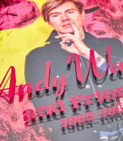 Livre Schapiro. Andy Warhol And Friends