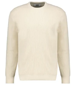 Pull Homme Danny 6429 Ecru