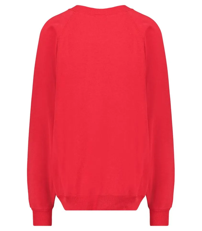 Sweat-Shirt Vintage Brode Jane De Boy Rouge