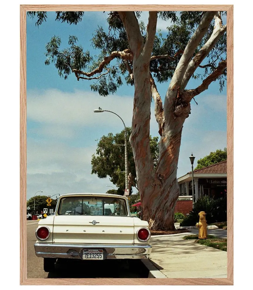 Tableau Avec Cadre "When Tomorrow Comes" 60X80Cm