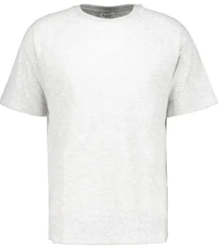 Tee-Shirt Homme Col Rond Ruzy Gris Clair Chine