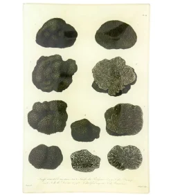 Vide-Poches Vintage "Mushrooms"